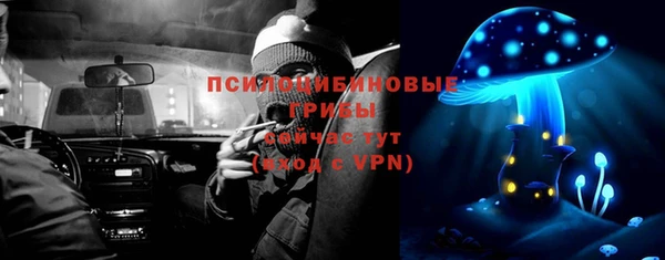 сатива Нея