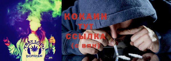 сатива Нея